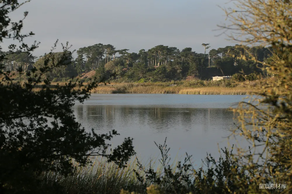 高清摄影 自然风光 宁静 湖泊 森林 户外 宁静的湖畔风景