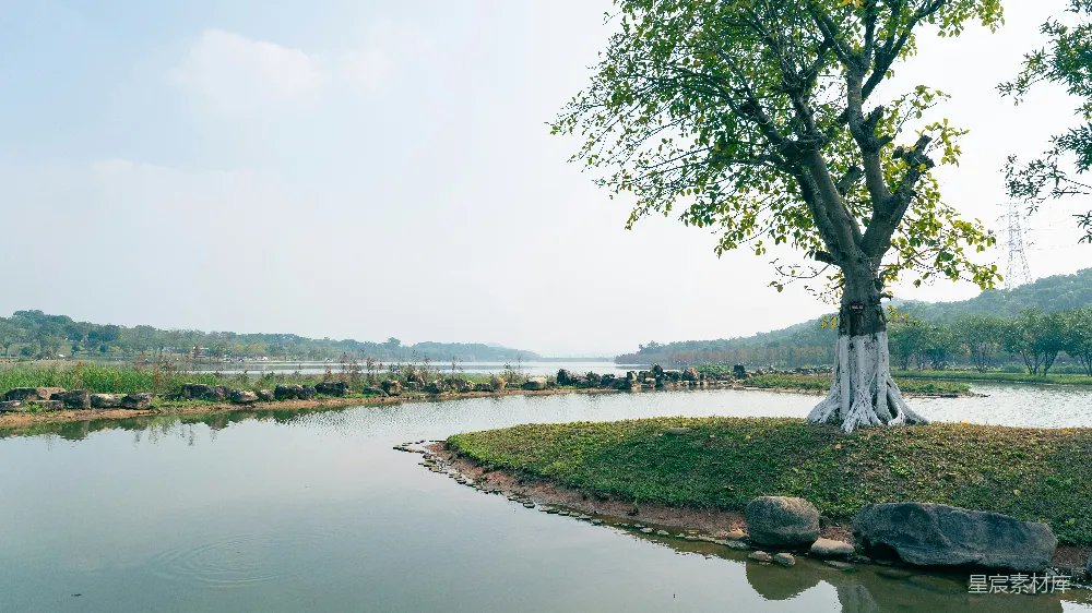 高清摄影 自然景观 湖景 绿岛 宁静 户外 湖畔绿岛：自然与宁静的完美结合