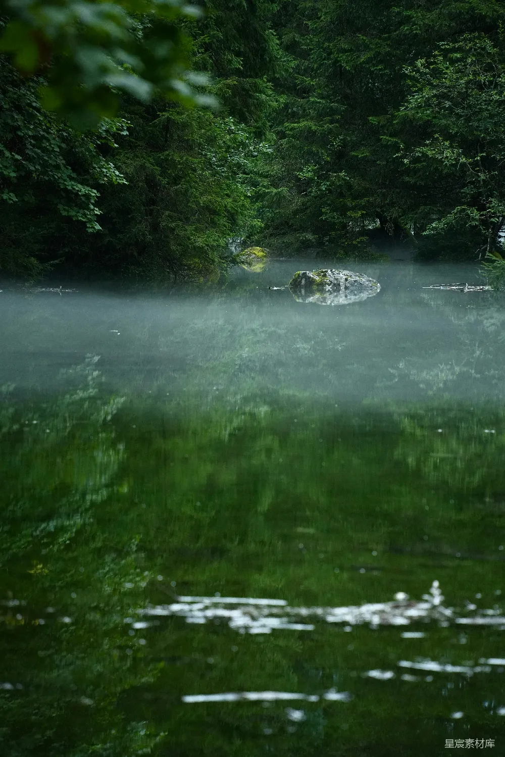 高清摄影 自然风光 雨景 湖泊 宁静 森林 雨中的静谧湖景