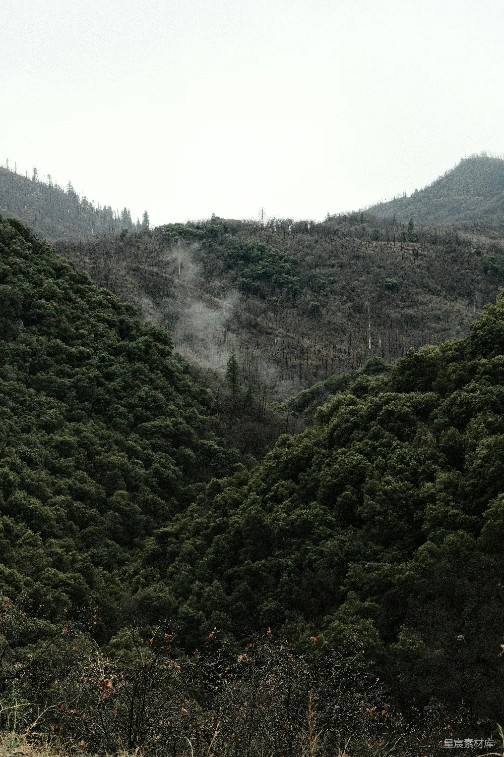 高清摄影 山脉 雾气 森林 自然风光 宁静 雾蒙蒙的山谷