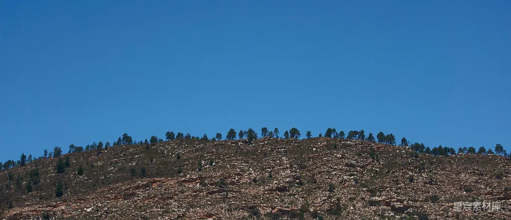 高清摄影 山景 自然 户外 宁静 森林 山丘上的松树林