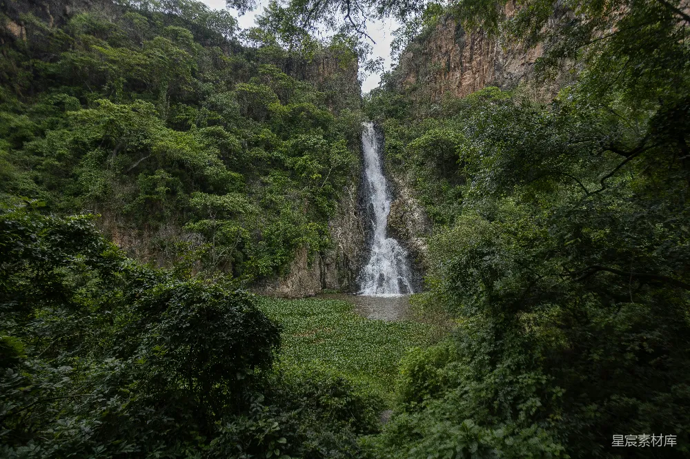 高清摄影 自然景观 瀑布 森林 宁静 户外 丛林中的瀑布