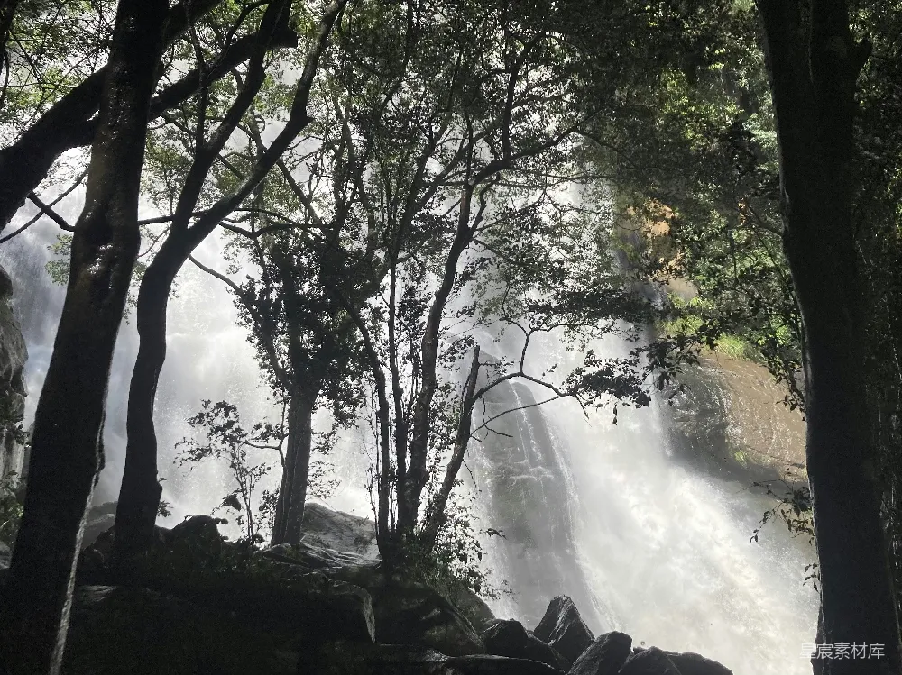 高清摄影 瀑布 自然 森林 户外 风景 森林中的瀑布
