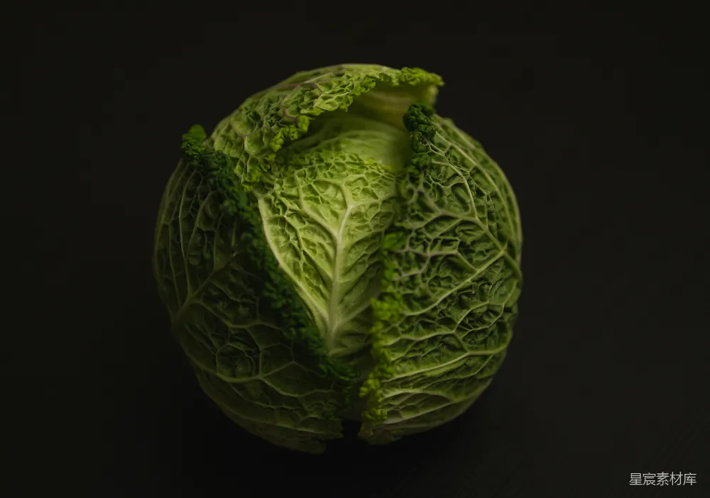 高清摄影 蔬菜 绿色 自然 美食 健康 新鲜卷心菜特写