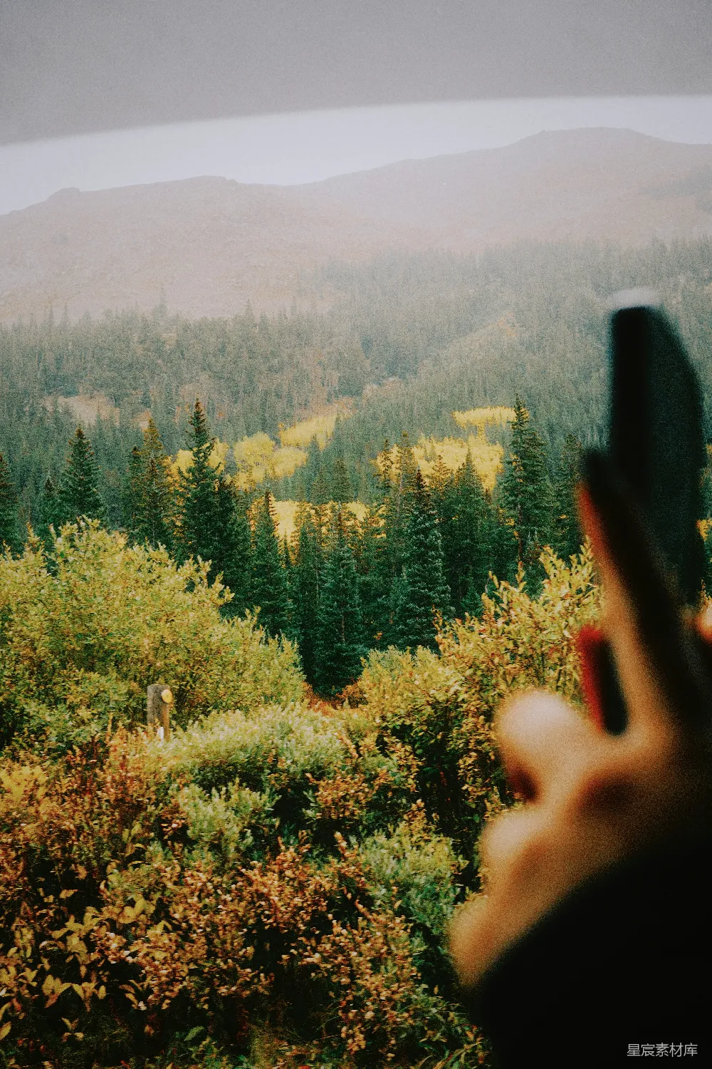 高清摄影 自然 摄影 户外 风景 宁静 山林中的剪影