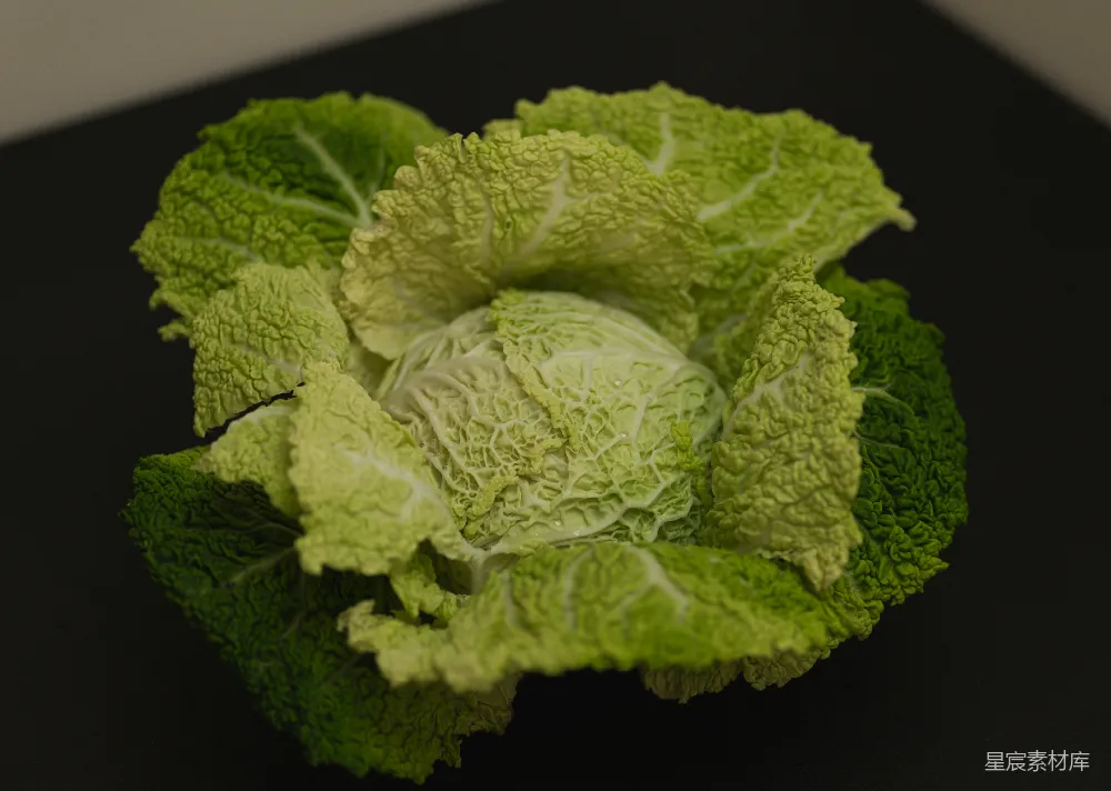 高清摄影 蔬菜 绿色 厨房 食材 健康 新鲜卷心菜