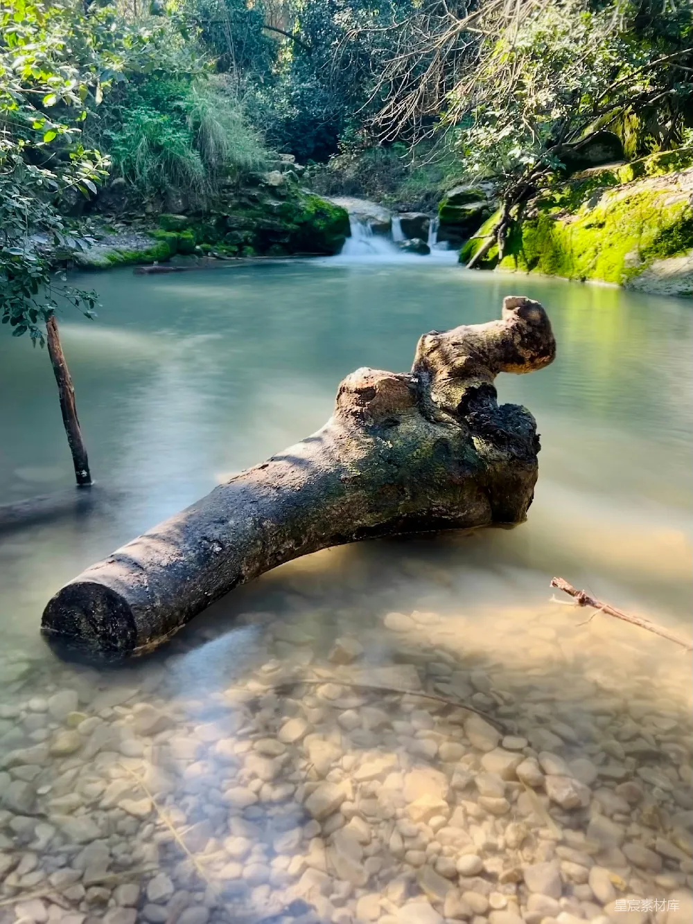 高清摄影 自然 宁静 风景 河流 枯木 静谧的溪流与枯木