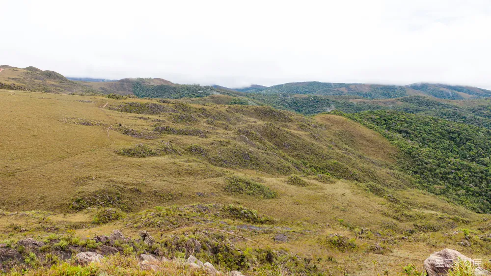 高清摄影 自然风光 高原 草地 森林 户外 高原风光：山间草地与森林