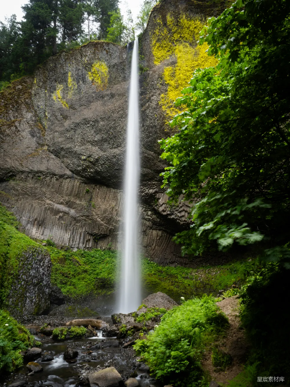 高清摄影 自然 瀑布 森林 风景 生态 森林中的瀑布