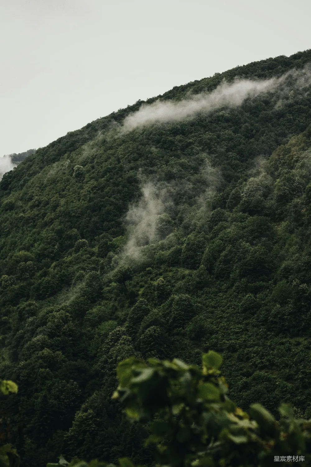 高清摄影 山林 雾气 自然风光 宁静 户外 雾气缭绕的山林