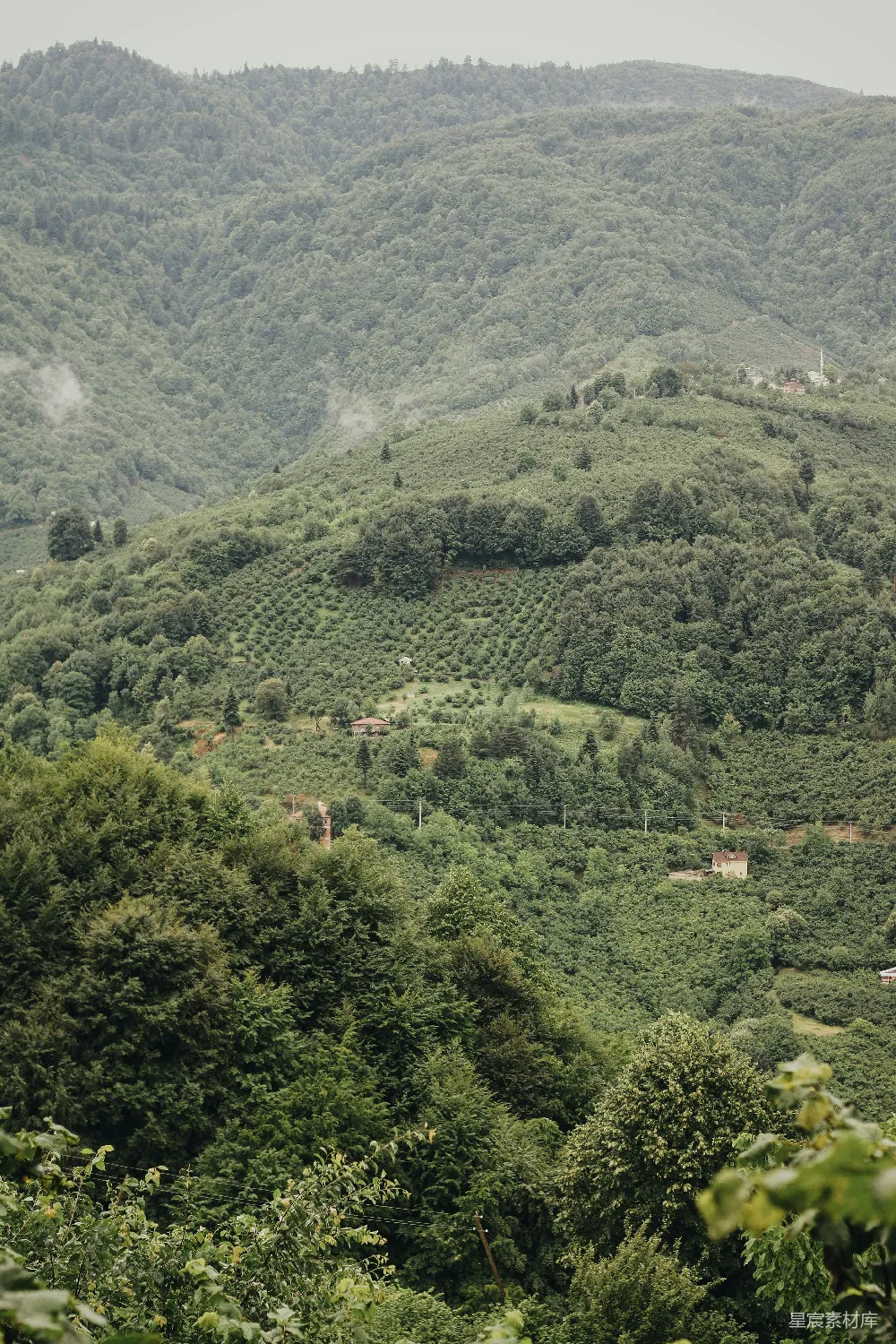 高清摄影 自然风光 山林 乡村 宁静 绿色 山间宁静的绿意