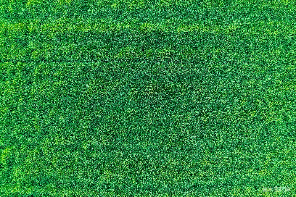 高清摄影 草地 自然 纹理 背景 户外 翠绿的草地纹理