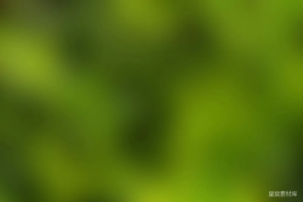 高清摄影 绿色 渐变 抽象 背景 设计 绿色渐变背景