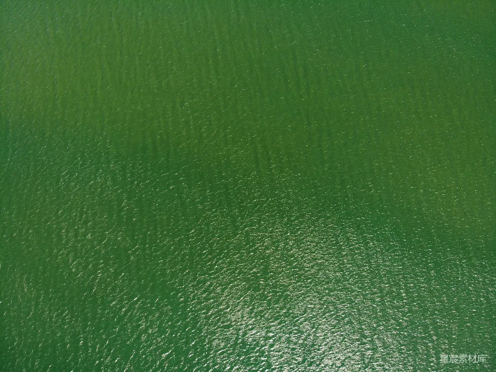 这张图片展示了一片广阔的湖面，湖水呈现出浓郁的绿色，波光粼粼，给人一种宁静而自然的感觉。适合用于自然风光、旅游宣传或作为背景图片。