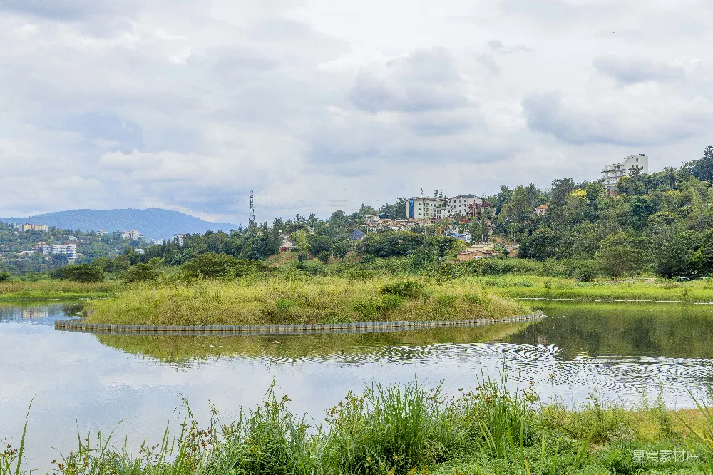 高清摄影 自然风光 城市景观 湖泊 绿色植物 宁静 湖畔绿意盎然的城市风光