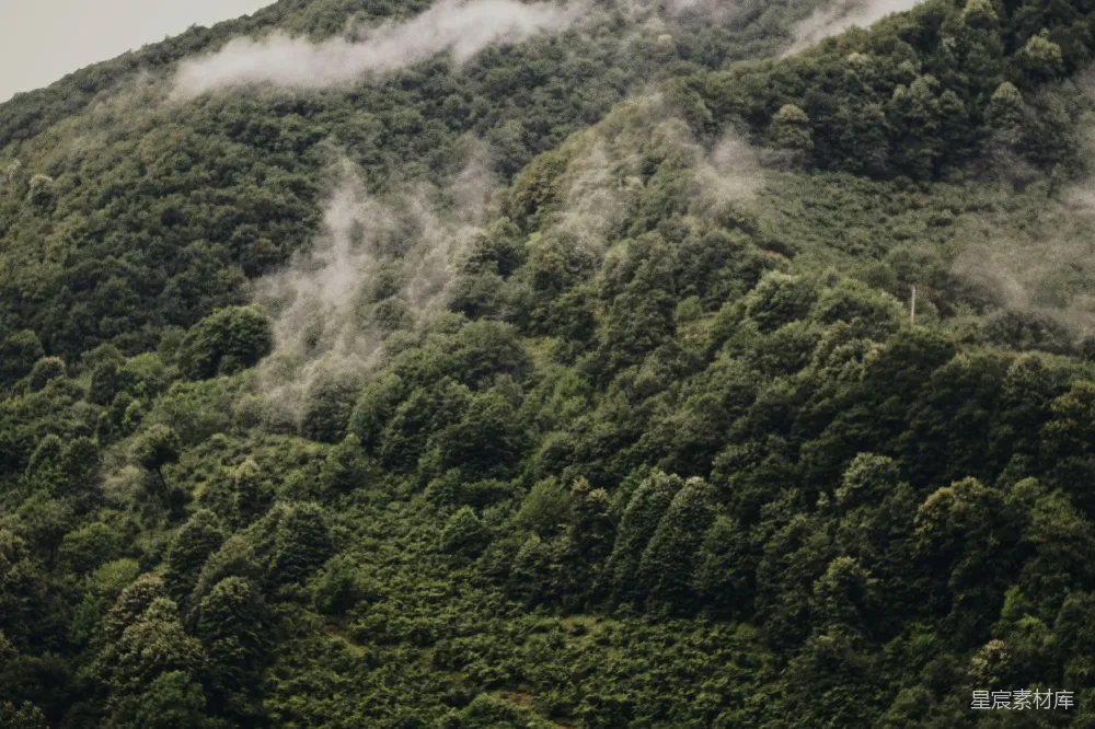 高清摄影 自然风光 山脉 薄雾 森林 宁静 山间薄雾