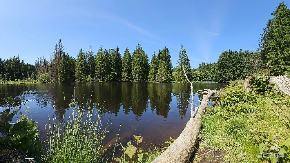 高清摄影 自然风光 宁静湖景 森林 户外旅行 夏日 森林中的宁静湖景