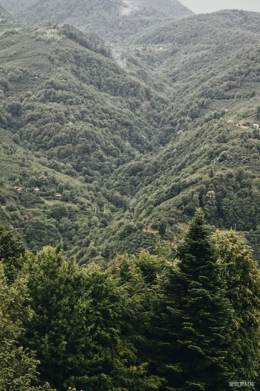 高清摄影 山景 自然 宁静 森林 户外 山间绿意盎然的宁静景象