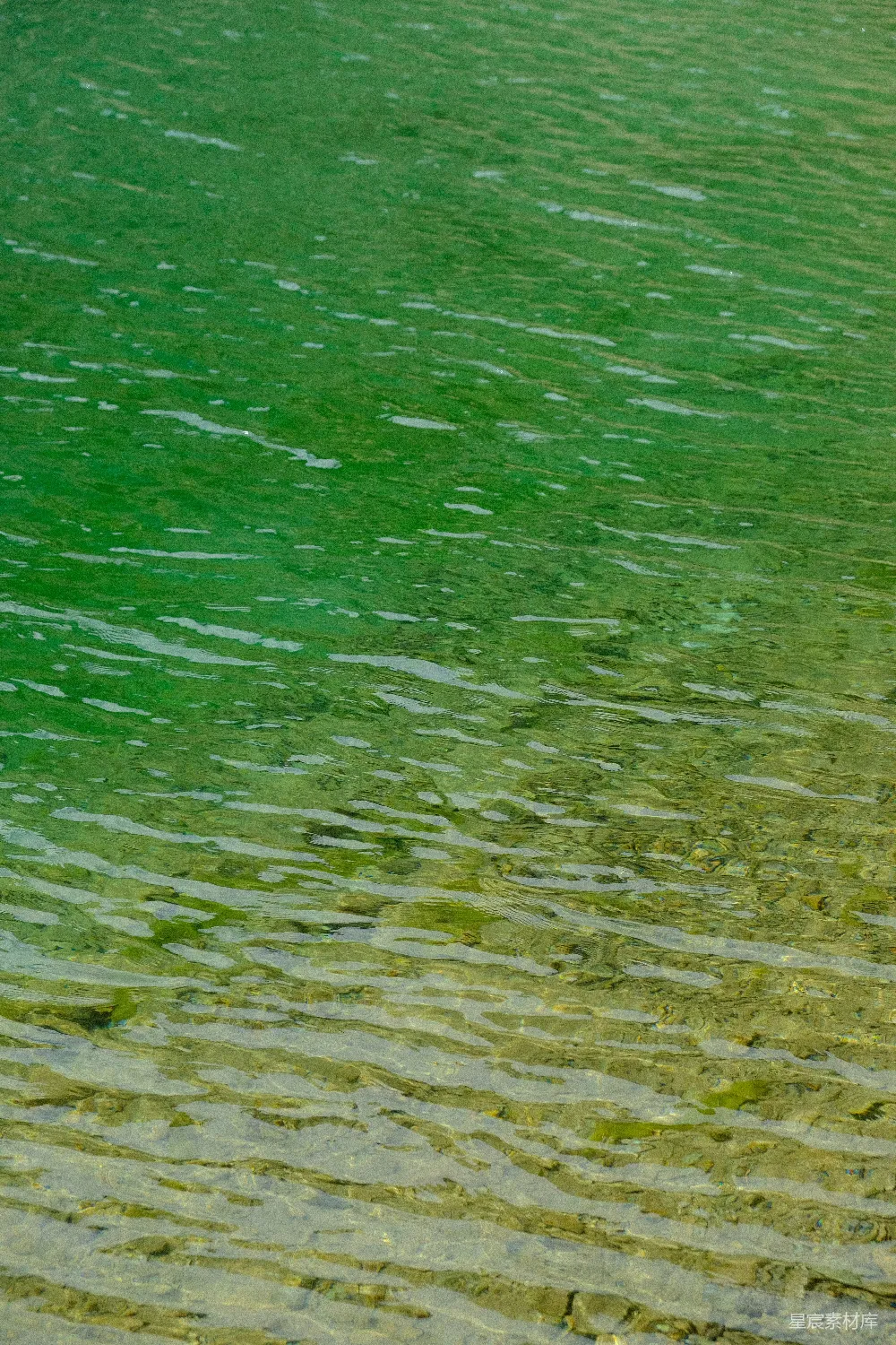 高清摄影 自然 纹理 水 清新 背景 清新的绿水纹理