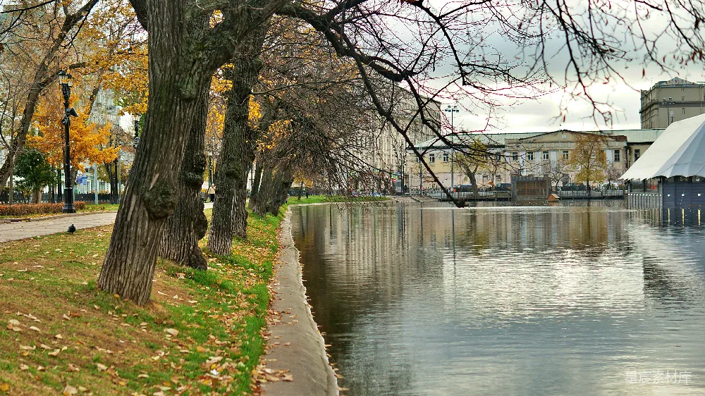 高清摄影 秋景 河边 城市风光 宁静 自然 秋日河边静谧时光
