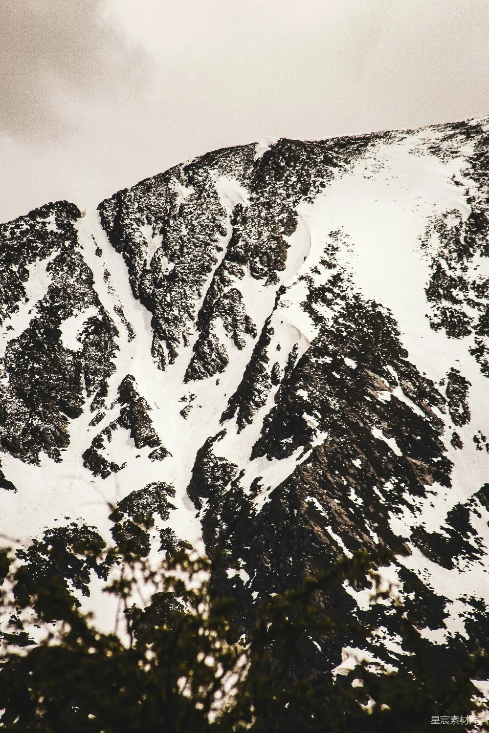 高清摄影 雪山 松林 自然风光 冬季 户外 雪山与松林