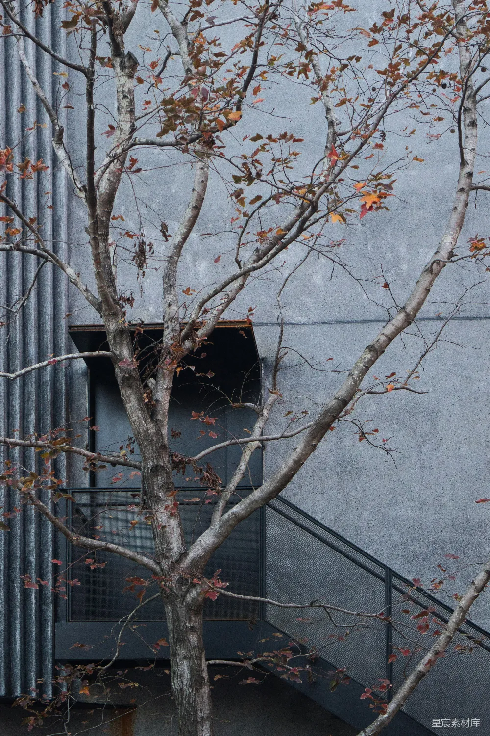 高清摄影 秋天 建筑 自然 枯叶 城市 秋日树影下的建筑