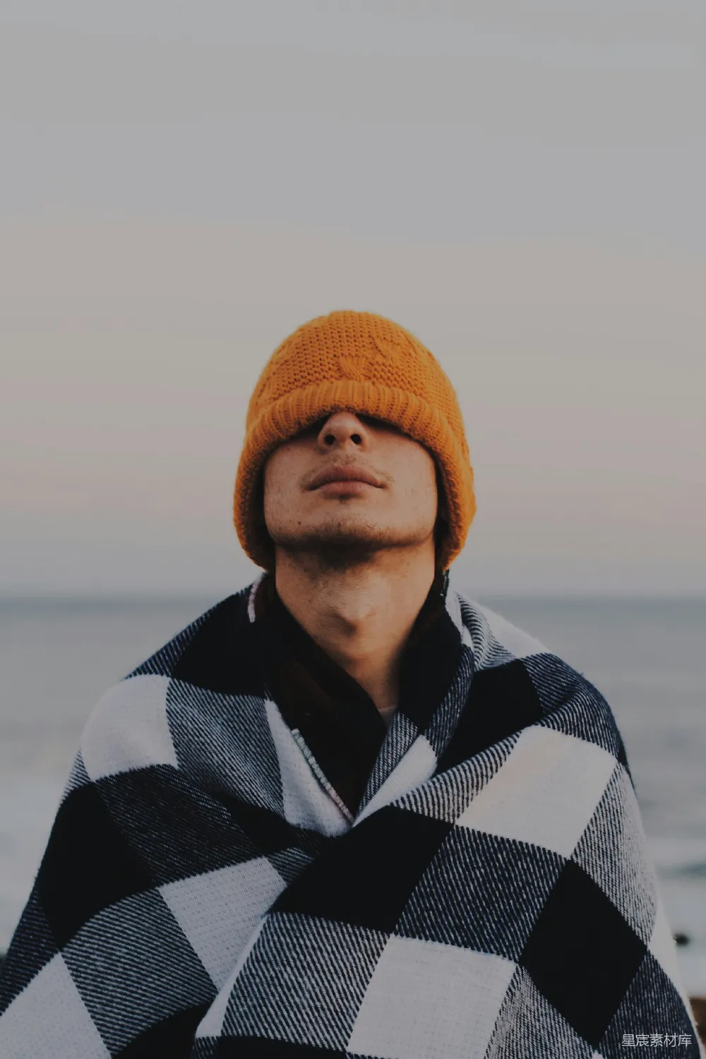 高清摄影 冬日 海边 温暖 户外 自然 冬日海边的温暖时光