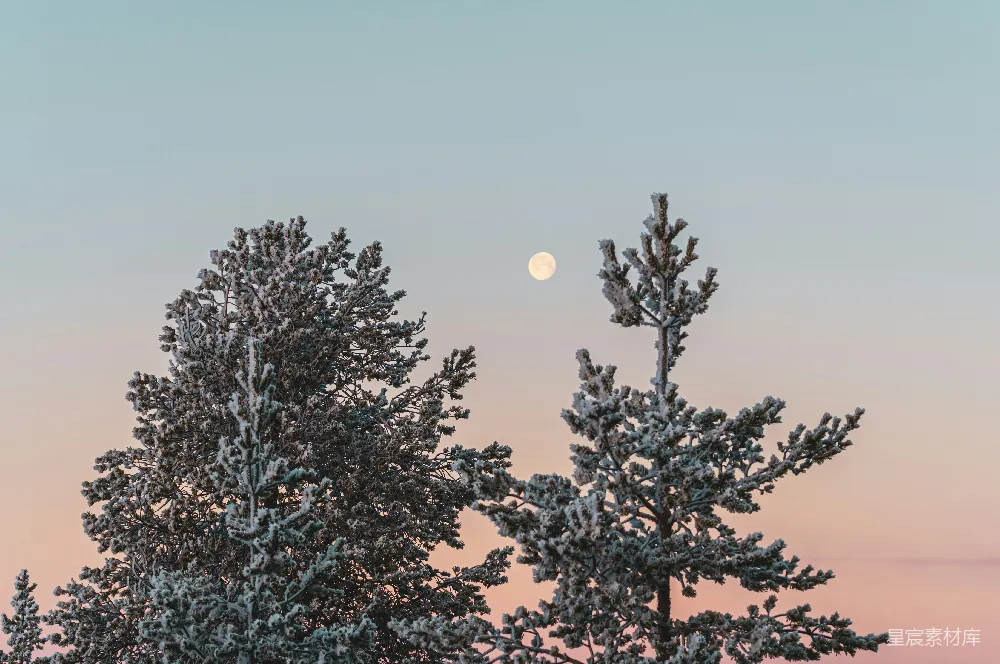 高清摄影 冬季 自然 月光 雪景 宁静 冬夜的月光与雪景