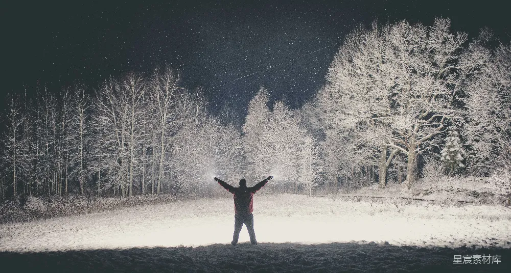 高清摄影 冬夜 自由 雪景 自然 户外 冬夜里的自由