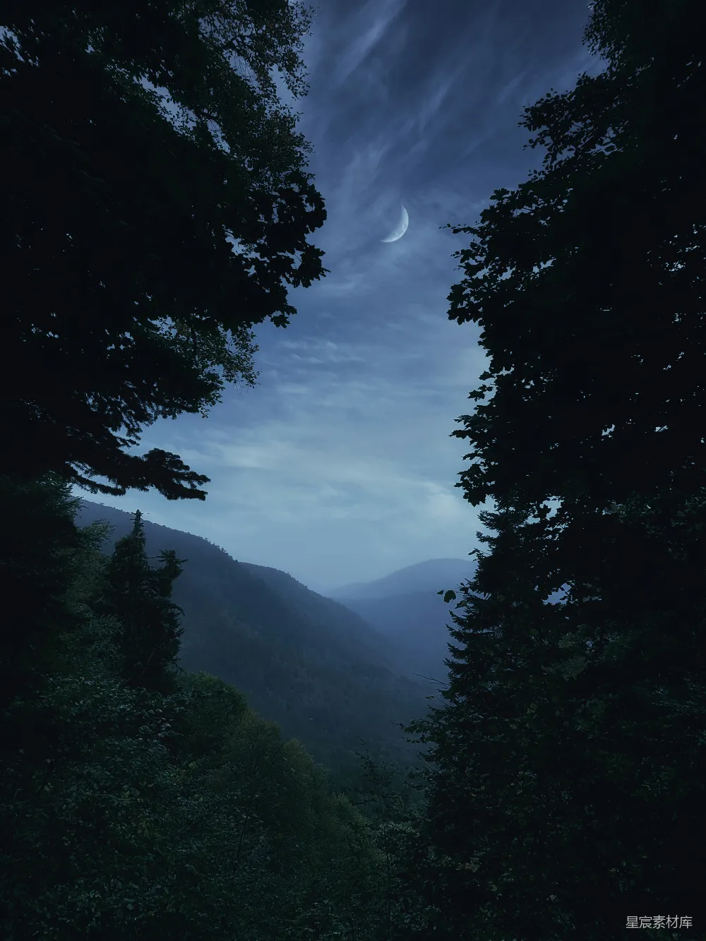 高清摄影 夜景 森林 宁静 月亮 自然 夜幕下的山谷