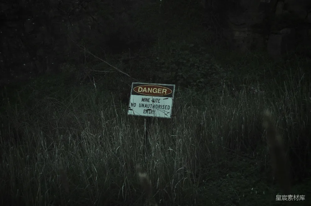 图片中，一片荒废的矿场被杂草覆盖，中心立着一块写着“DANGER MINE SITE NO UNAUTHORISED ENTRY”的警示牌。周围环境显得阴森恐怖，光线昏暗，给人一种被遗弃和危险的感觉，适合用于恐怖、探险或警告类场景。