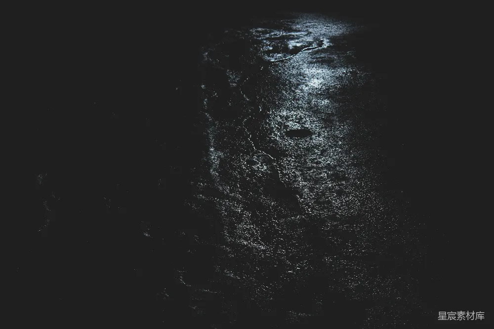 高清摄影 夜景 湿地 自然 黑暗 宁静 夜色中的湿地