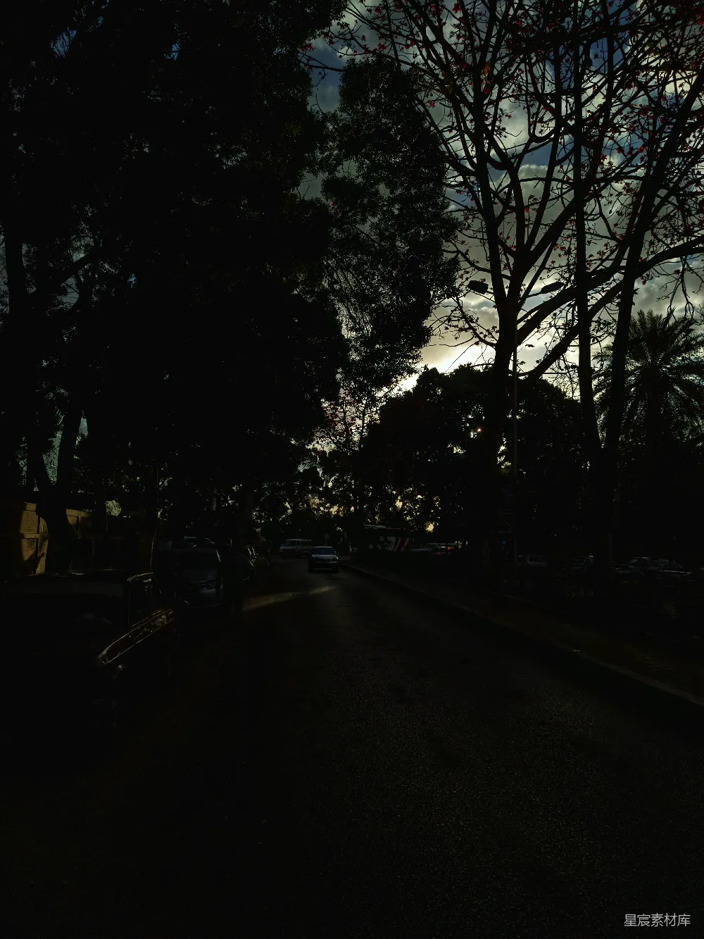 这张图片展示了黄昏时分的街景。道路两旁是高大的树木，树叶在微风中轻轻摇曳。天空中云层厚重，阳光透过云层洒在地面上，形成斑驳的光影效果。街道上停着几辆车，远处可以看见行人和一辆公交车。整个场景显得宁静而富有诗意。