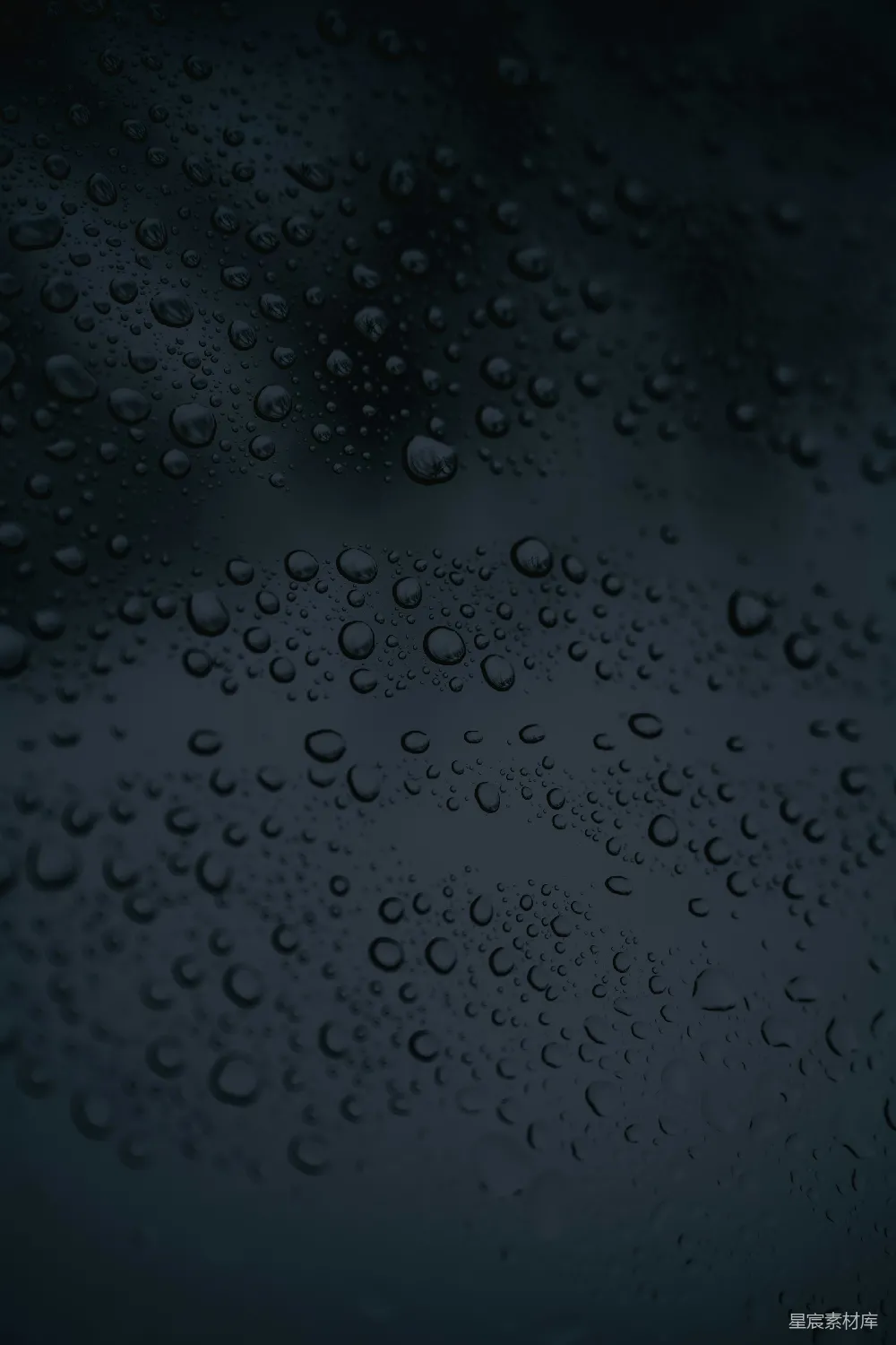 高清摄影 雨滴 黑暗 自然 雨季 背景 雨滴的暗夜