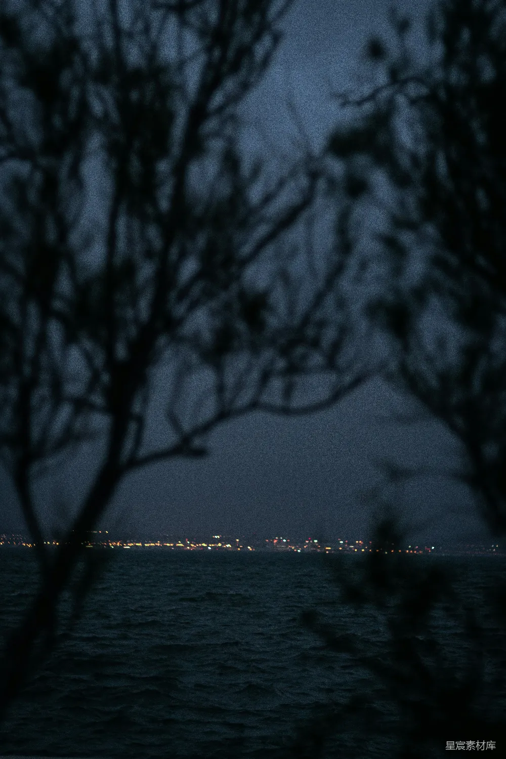 高清摄影 夜晚 海景 树木 静谧 自然 夜幕下的海景