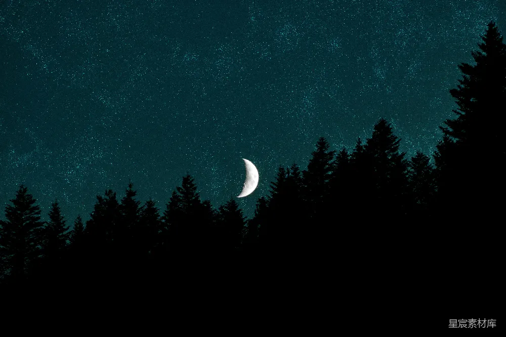 高清摄影 夜景 月亮 星空 自然 宁静 夜空中的新月与松林