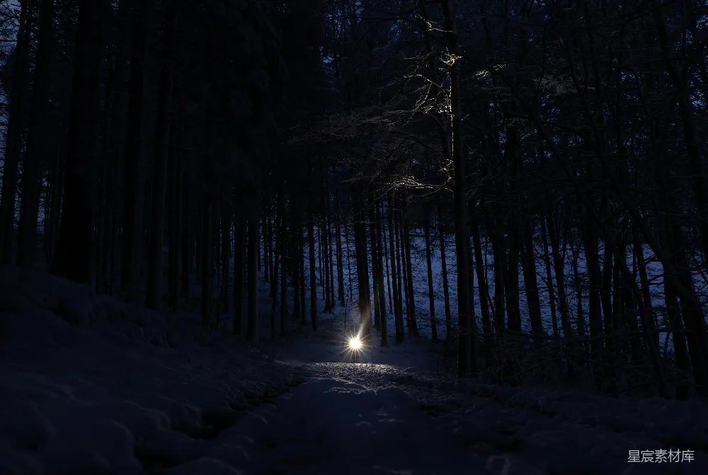 高清摄影 雪景 夜景 自然 宁静 探索 雪夜中的光