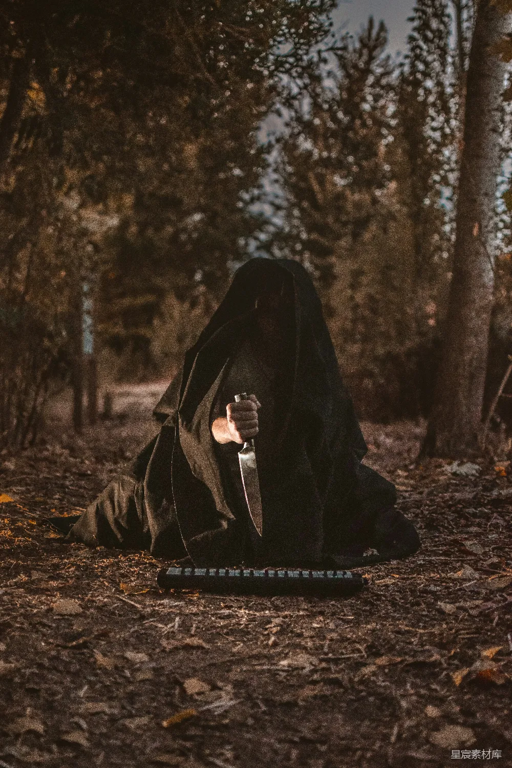 高清摄影 黑暗 森林 神秘 刺客 阴森 黑暗森林中的神秘身影