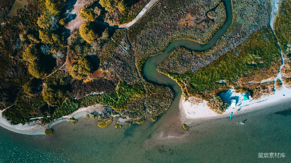 高清摄影 森林中一条河流的空中俯视景象