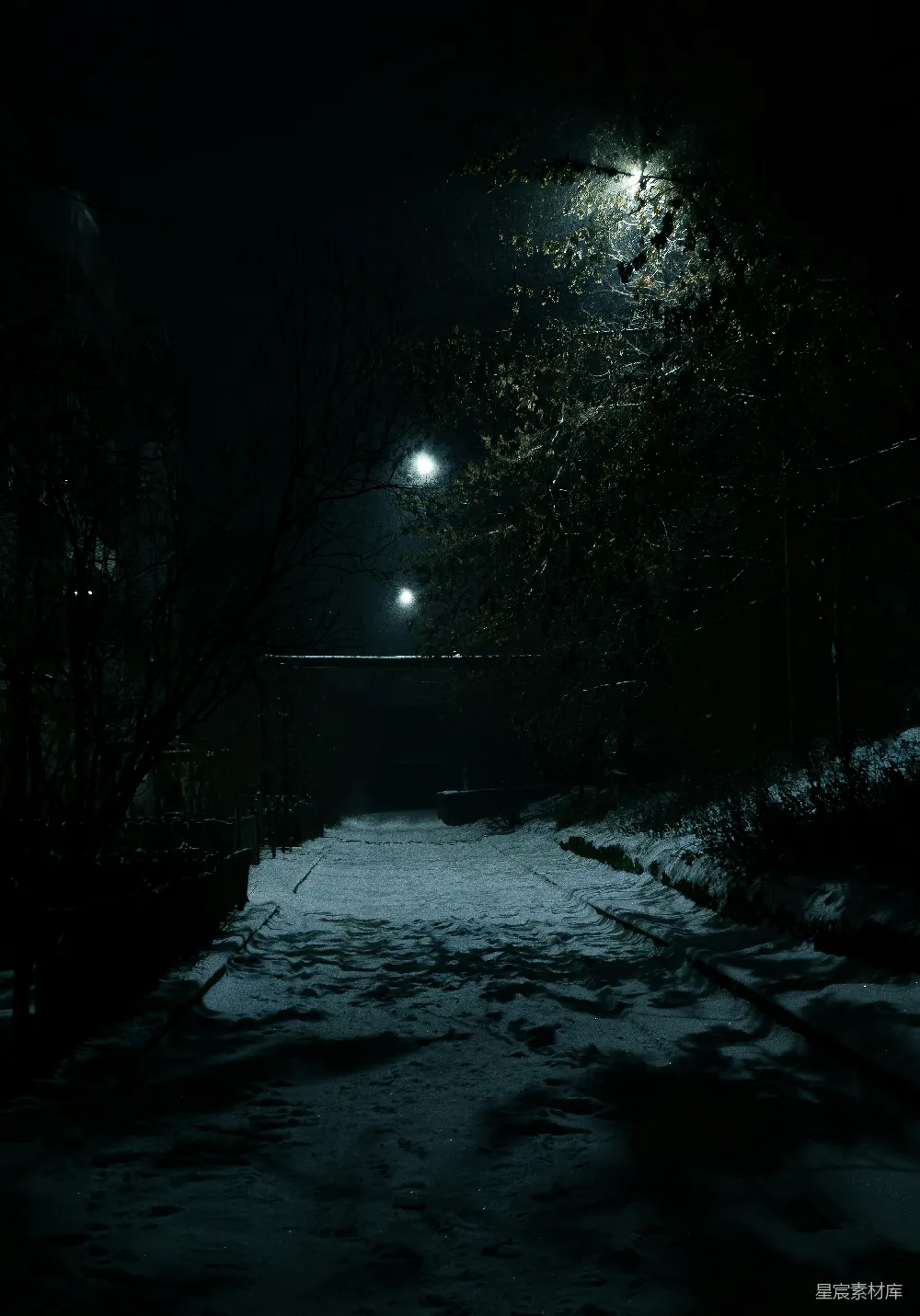高清摄影 冬夜 小径 路灯 雪景 宁静 冬夜小径