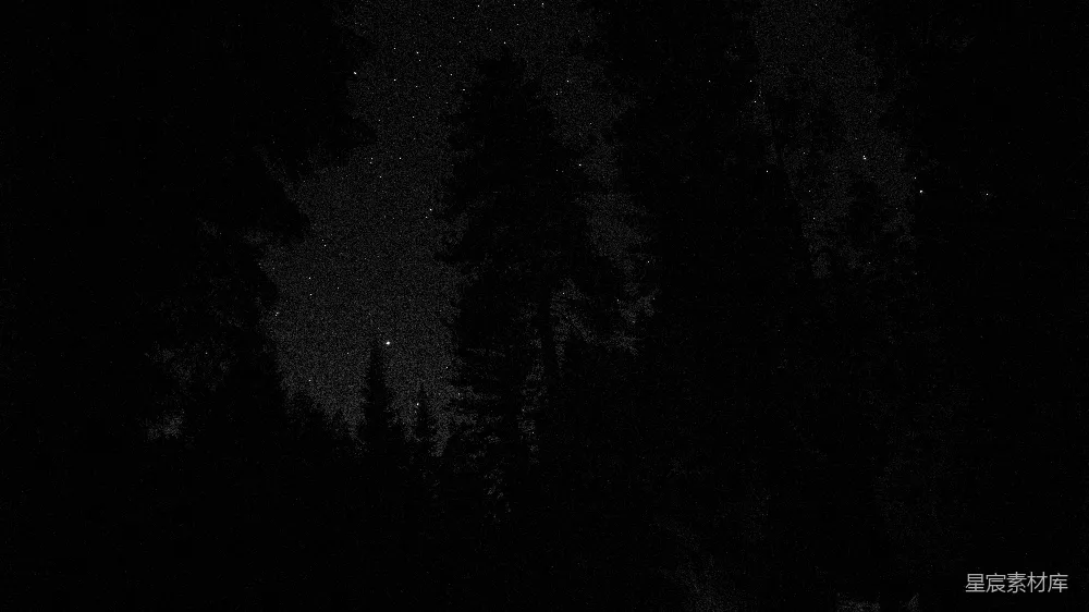 高清摄影 夜晚 森林 星空 宁静 自然 夜幕下的森林