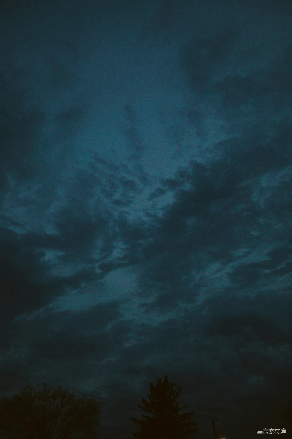高清摄影 夜景 森林 宁静 深蓝 自然 夜幕下的寂静森林