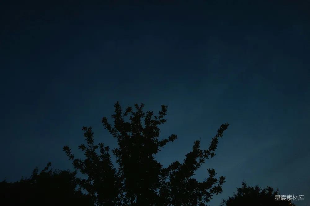 这是一张夜幕下的树梢轮廓照片，天空呈现深蓝色，树梢的轮廓在夜空中显得格外清晰。整体画面色调较暗，营造出一种宁静而神秘的氛围，适合用于表现自然之美或营造静谧的背景。