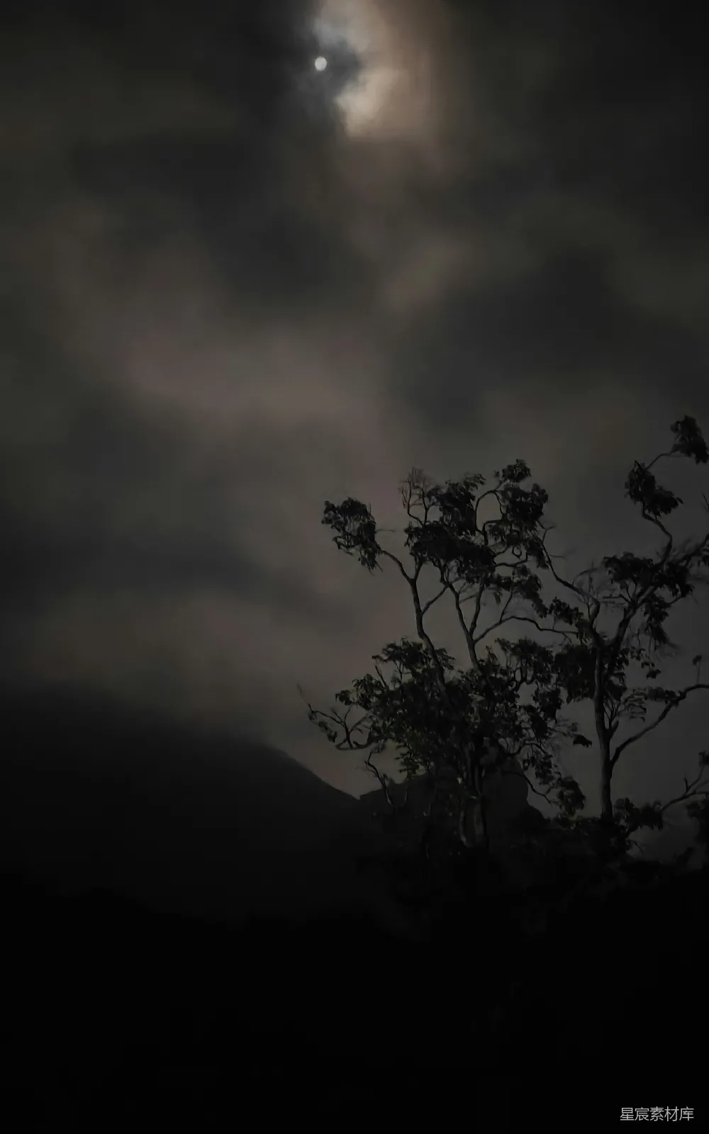 高清摄影 夜景 自然 月光 森林 宁静 月夜下的山林
