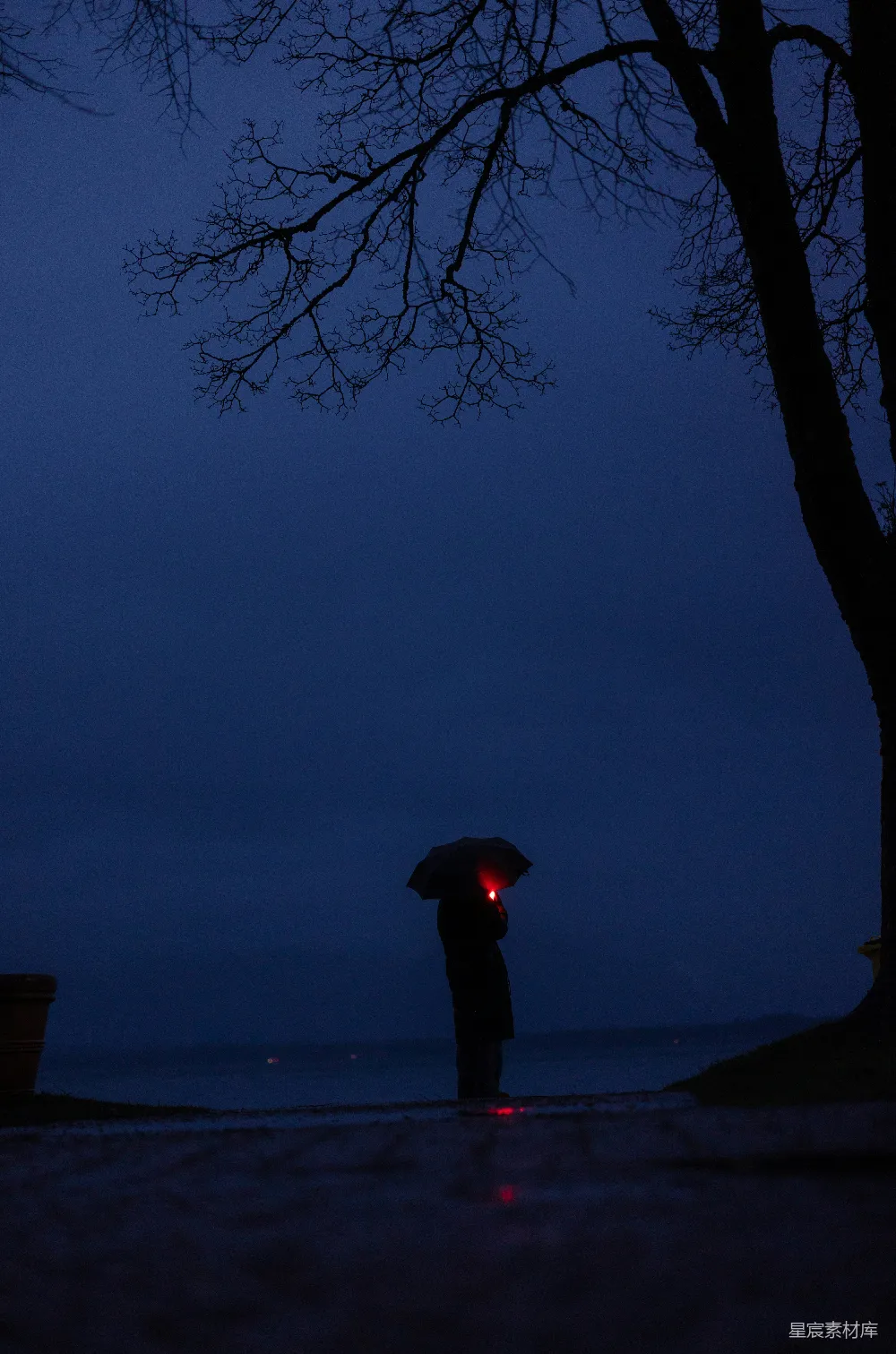 高清摄影 夜晚 雨伞 孤独 树影 静谧 夜雨中的孤独