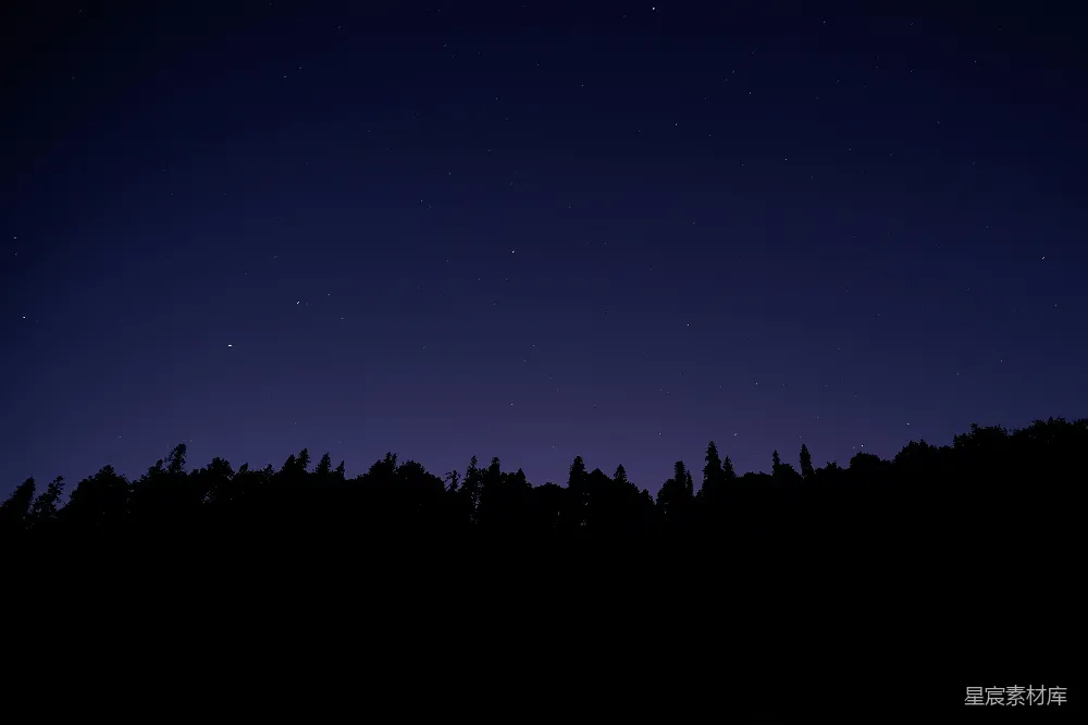 高清摄影 夜空 森林 剪影 宁静 自然 夜空下的森林剪影