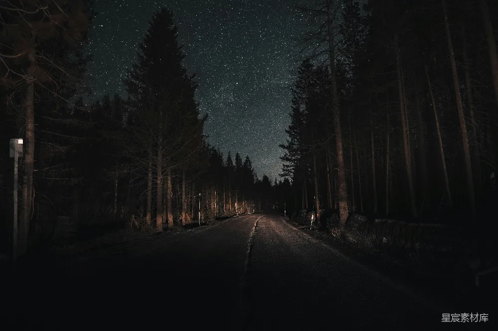 高清摄影 森林 夜晚 公路 宁静 星空 夜幕下的林间小路