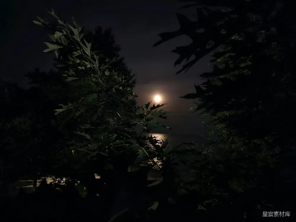 高清摄影 夜晚 自然 静谧 月光 湖畔 月光下的静谧湖畔