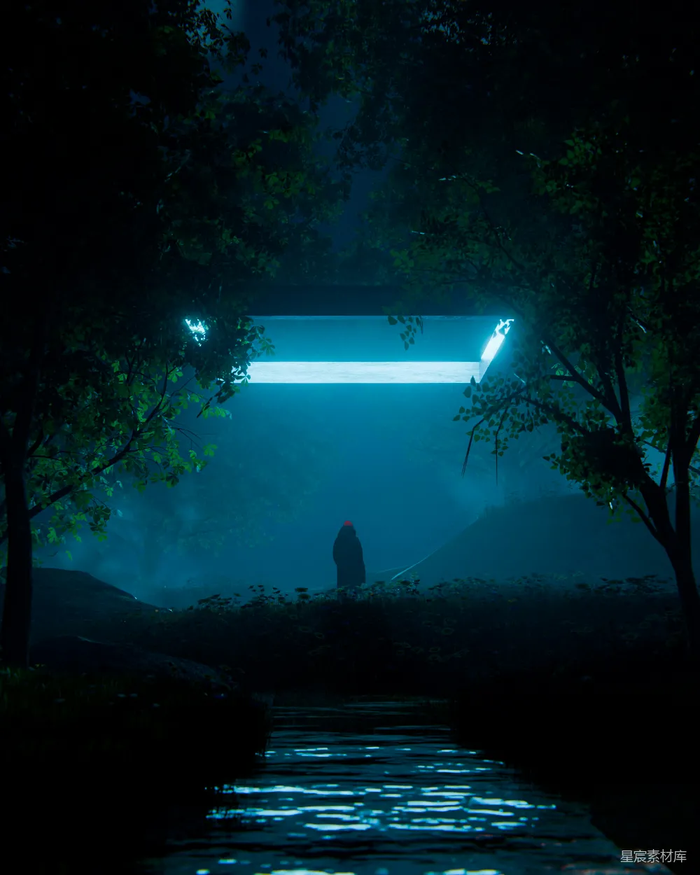 高清摄影 森林 神秘 光 夜晚 自然 神秘森林中的光之指引