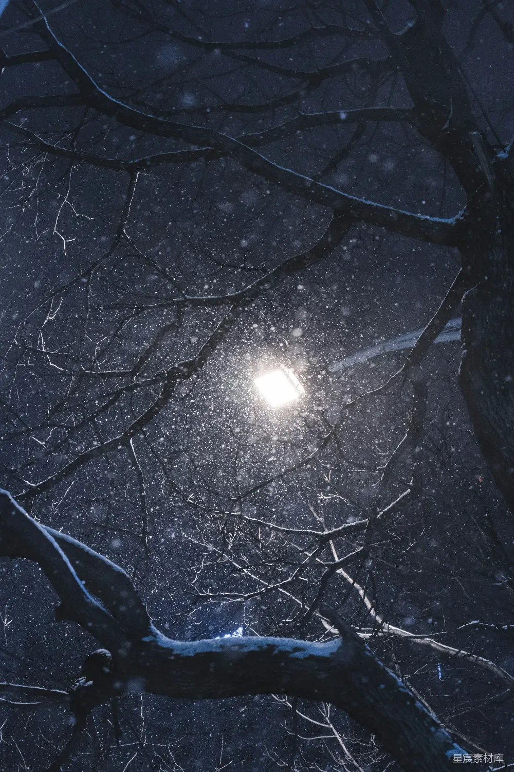 高清摄影 雪景 夜晚 街灯 树枝 冷色调 雪夜下的街灯